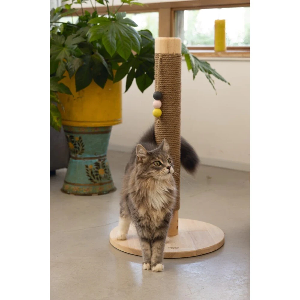 Designed By Lotte Houten Krabpaal Sinora 3 Designed By Lotte Houten Krabpaal Sinora - Afbeelding 3