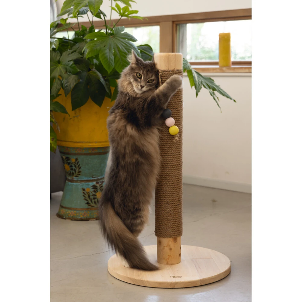 Designed By Lotte Houten Krabpaal Sinora 4 Designed By Lotte Houten Krabpaal Sinora - Afbeelding 4