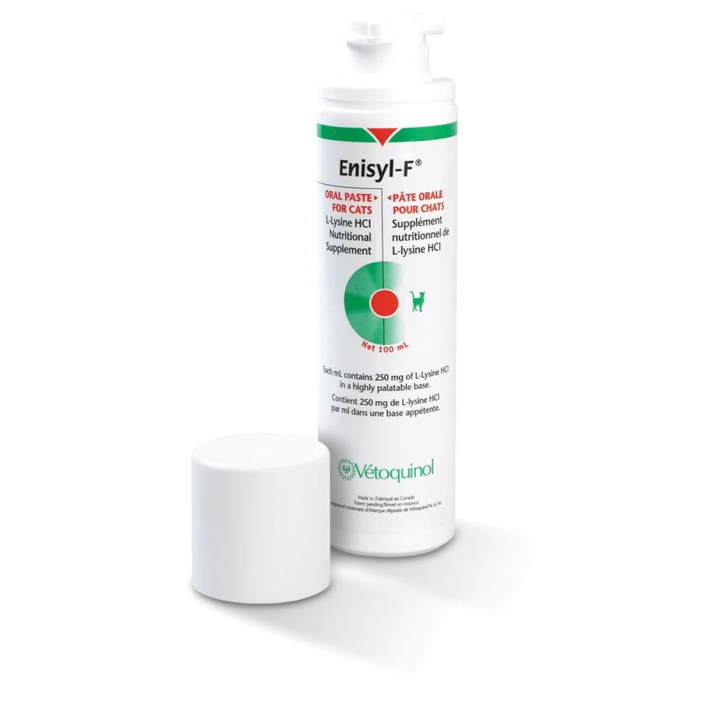 Vetoquinol Care Enisyl-F Orale Pasta 1 Vetoquinol Care Enisyl-F Orale Pasta