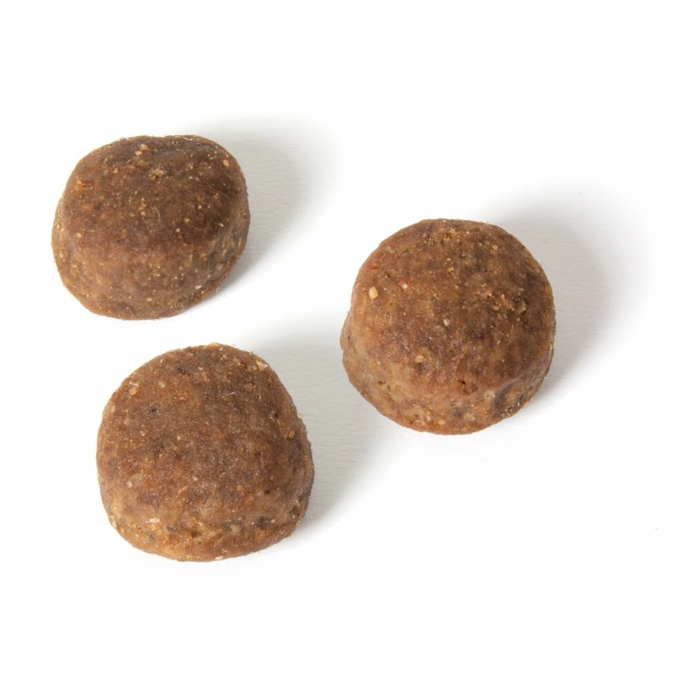 Fokker Fresh Meat Kattenvoer Verse Kip 2 Fokker Fresh Meat Kattenvoer Verse Kip - Afbeelding 2